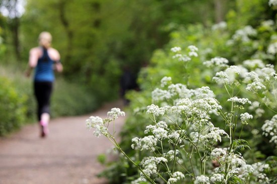 Hidden Gems &ndash; is there something about the area no one really knows about? - Martyn Gerrard
