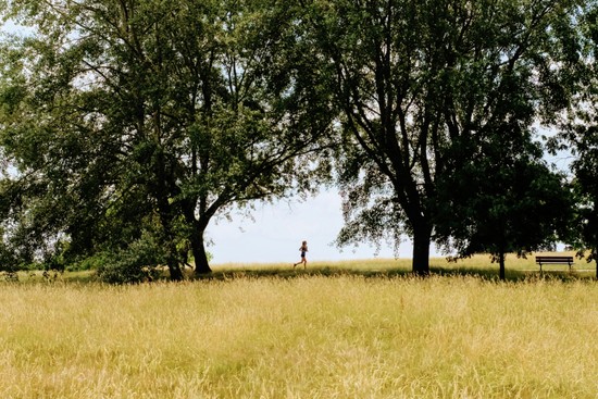 Hidden Gems &ndash; Our favourite things to see in the area - Martyn Gerrard