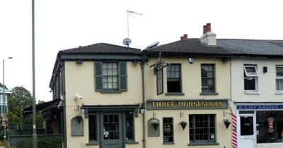The Three Horseshoes - Martyn Gerrard