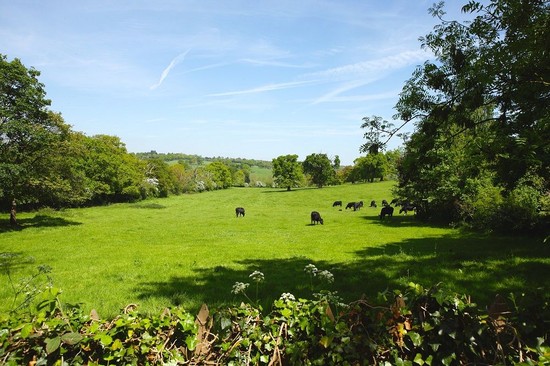 Hidden Gems &ndash; is there something about the area no one really knows about? - Martyn Gerrard