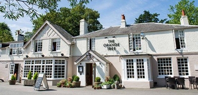 The Orange Tree - Martyn Gerrard